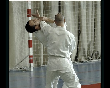 Aikido 1