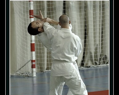 Aikido 1