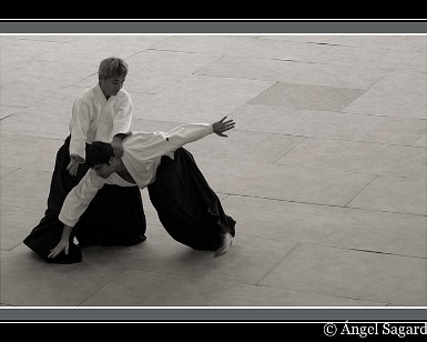 Aikido 14