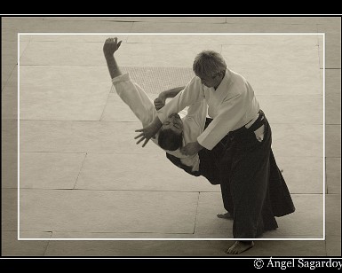 Aikido 16