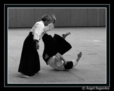 Aikido 2