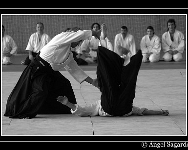 Aikido 20