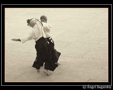 Aikido 7