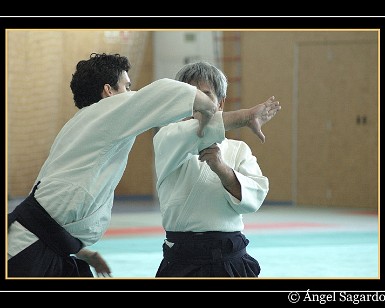 Aikido 8