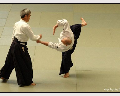 Aikido Vitoria 12