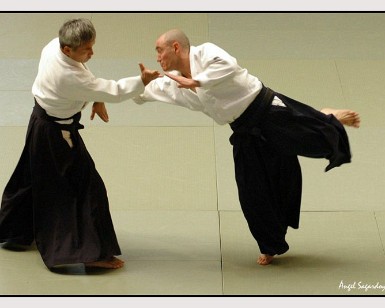 Aikido Vitoria 14