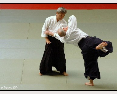 Aikido Vitoria 15