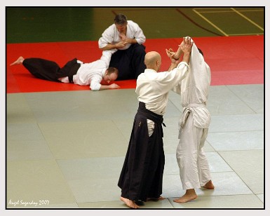 Aikido Vitoria 17