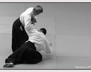 Aikido Vitoria 19