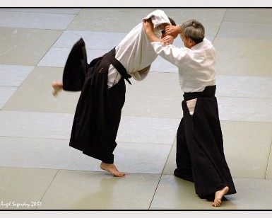 Aikido Vitoria 2