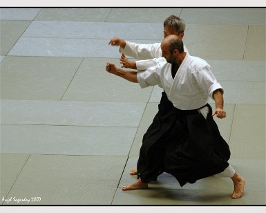 Aikido Vitoria 24