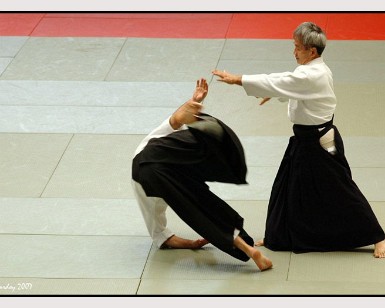 Aikido Vitoria 25