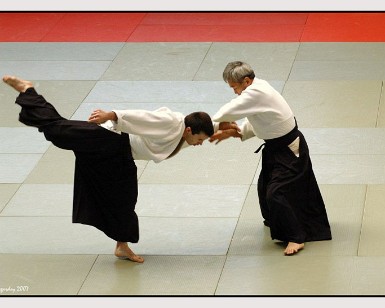 Aikido Vitoria 3