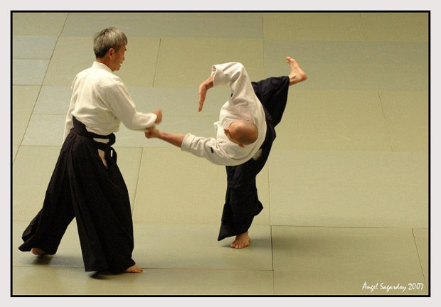 Curso Aikido Vitoria